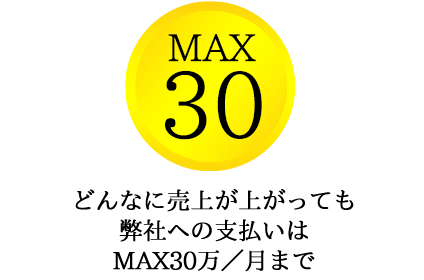 どんなに売上が上がっても弊社への支払いはMAX30万／月まで